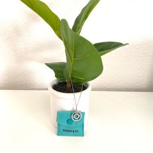 Tiffany Atlas Necklace